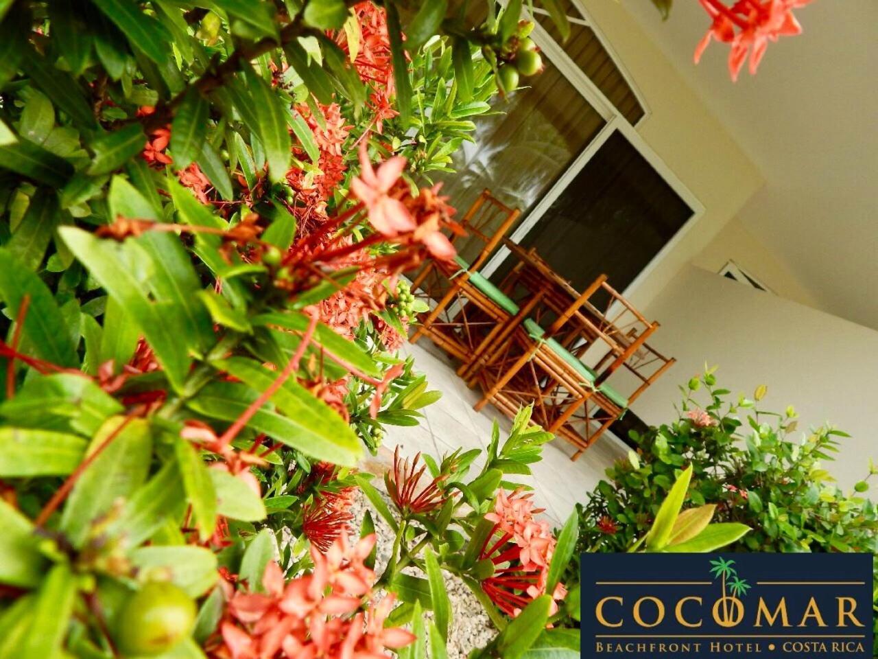 Cocomar Beachfront Hotel Parrita Ngoại thất bức ảnh